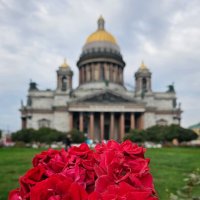 Санкт-Петербург :: Юлия Голикова