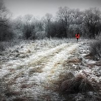 В пойме Клязьмы ... :: Владимир Шошин