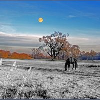 Зимний пейзаж на АЛ :: Евгений Зимний пейзаж на АЛ :: Евгений