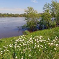 Начало лета,бережок. :: nadyasilyuk Вознюк