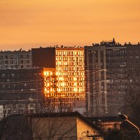 Солнечное представление. :: Петр Беляков