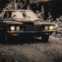 Alive...Rivera--- :: AL Reborn 