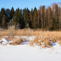 Февраль на Смоленщине :: Милешкин Владимир Алексеевич 