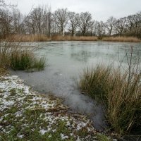 Пруд в январе... :: Николай Гирш Пруд в январе... :: Николай Гирш