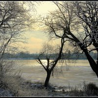 Первый морозец :: Aleksandr Gal