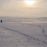 Под солнцем декабря... :: Aquarius - Сергей