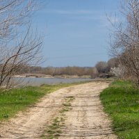 Пригрело солнышко и на прогулку! :: Игорь Сикорский