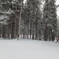 Небольшой подъём :: Виктор 