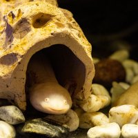 Моё лицо, когда я ничего не успеваю, но пытаюсь сохранять оптимизм) :: Анастасия Фотографовна