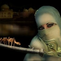 из серии  ВОСТОК :: Елизавета Мур