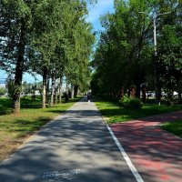 Чебоксары. Летняя аллея проспекта Ивана Яковлева. :: Пётр Чернега Чебоксары. Летняя аллея проспекта Ивана Яковлева. :: Пётр Чернега