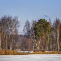 Февральская зарисовка :: Сергей Цветков