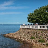 На берегу Финского залива :: lady v.ekaterina На берегу Финского залива :: lady v.ekaterina