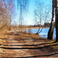 Весенний, деревенский пейзаж. :: Милешкин Владимир Алексеевич Весенний, деревенский пейзаж. :: Милешкин Владимир Алексеевич