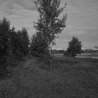 Название отсутствует :: Денис Безногов