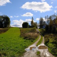 Сельская дорога :: Олег Зоркий Сельская дорога :: Олег Зоркий