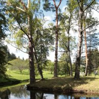 Михайловское, Остров уединенный :: Олег Зоркий