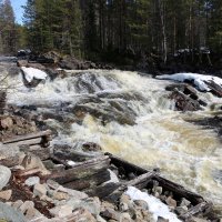 На Колвицких водопадах :: Ольга 