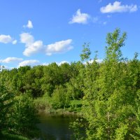 **** :: Виктор 