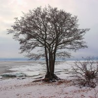 *** :: Сергей Григорьев *** :: Сергей Григорьев