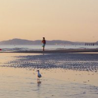 Утро у всех разное :: Сергей Швечков