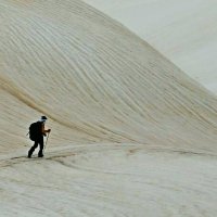 ГОРНАЯ ПРОГУЛКА. :: Виктор Осипчук ГОРНАЯ ПРОГУЛКА. :: Виктор Осипчук