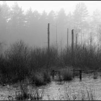 Туман :: Aleksandr Gal