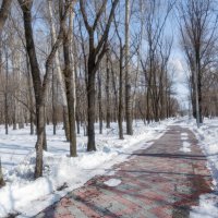 В заснеженом парке. :: Виктор Иванович Чернюк