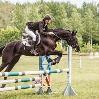 Конкур :: SanSan Конкур :: SanSan