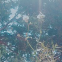 12  КЛОС (792) :: CLOSE WAYS ALL