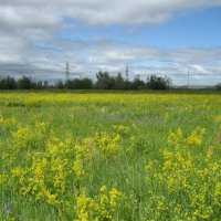 Лето :: Anna Ivanova Лето :: Anna Ivanova