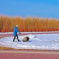 Апрель.....В прибрежном парке с собачкой! :: Владимир 