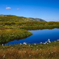 Озеро :: Ричард Панков