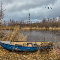 На Ладоге :: Владимир Колесников На Ладоге :: Владимир Колесников