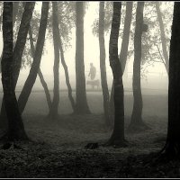 В любую погоду... :: Aleksandr Gal