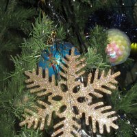 Снежинка золотая :: Дмитрий Никитин