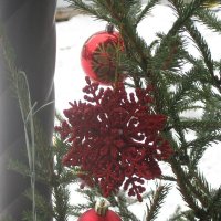 Снежинка красная :: Дмитрий Никитин Снежинка красная :: Дмитрий Никитин