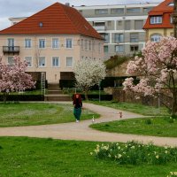 Утренняя прогулка :: Юрий. Шмаков