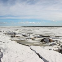 Зеленогорск :: Наталья Герасимова