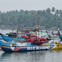 Лодки :: Dmitry i Mary S