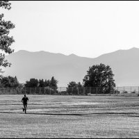 Бег :: **** vedin Бег :: **** vedin