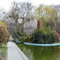 Весенний пейзаж :: Валентин Семчишин Весенний пейзаж :: Валентин Семчишин