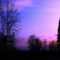 Красивый вечер :: Людмила Смородинская