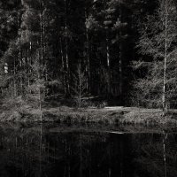 Название отсутствует :: Денис Безногов Название отсутствует :: Денис Безногов