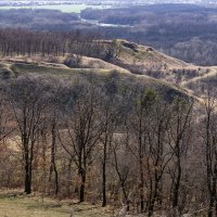 Окрестности моего города :: Игорь Сикорский