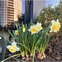 Весна в Рыбной деревне. :: Валерия Комова