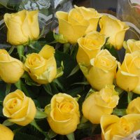 Желтые розы :: Надежда Желтые розы :: Надежда