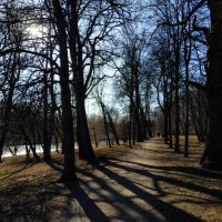 Сезон теней :: Андрей Лукьянов