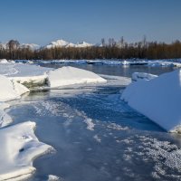 ... :: Жора Житников ... :: Жора Житников