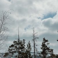 Небеса :: Георгиевич Небеса :: Георгиевич